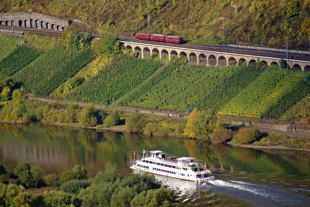 Zwei Ferienwohnungen "Im Weingarten " Burg  Pokoj fotografie
