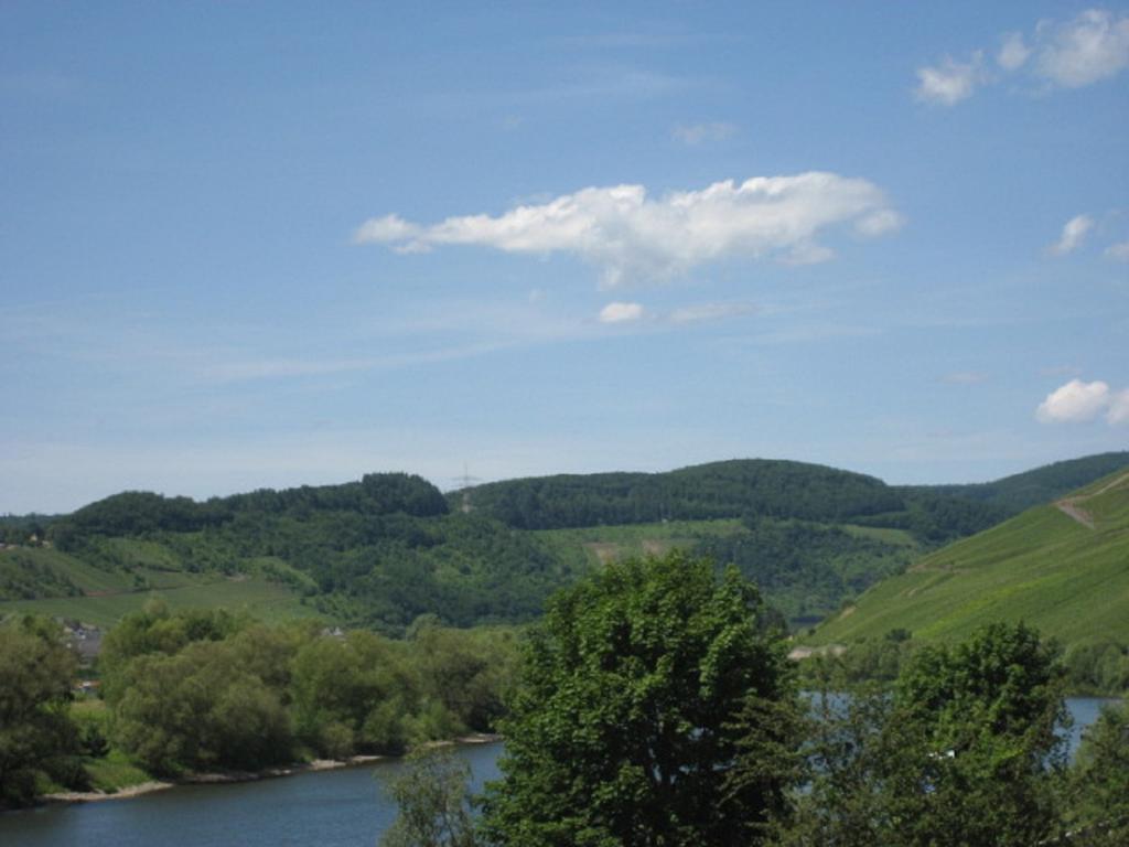 Zwei Ferienwohnungen "Im Weingarten " Burg  Exteriér fotografie